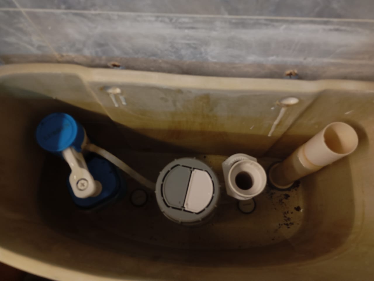 Expert Commode Flush Repair Services in Singapore: Quick Fixes for a Hassle-Free Bathroom